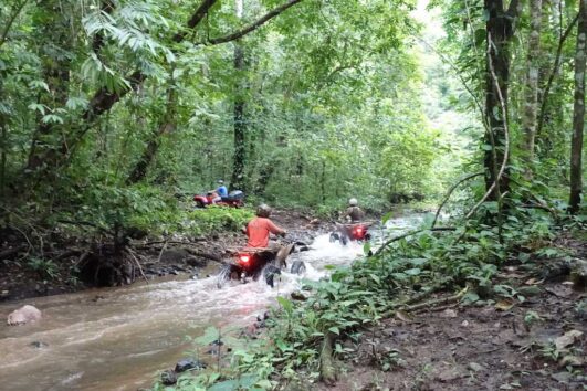 Zip Line + ATV or Buggy